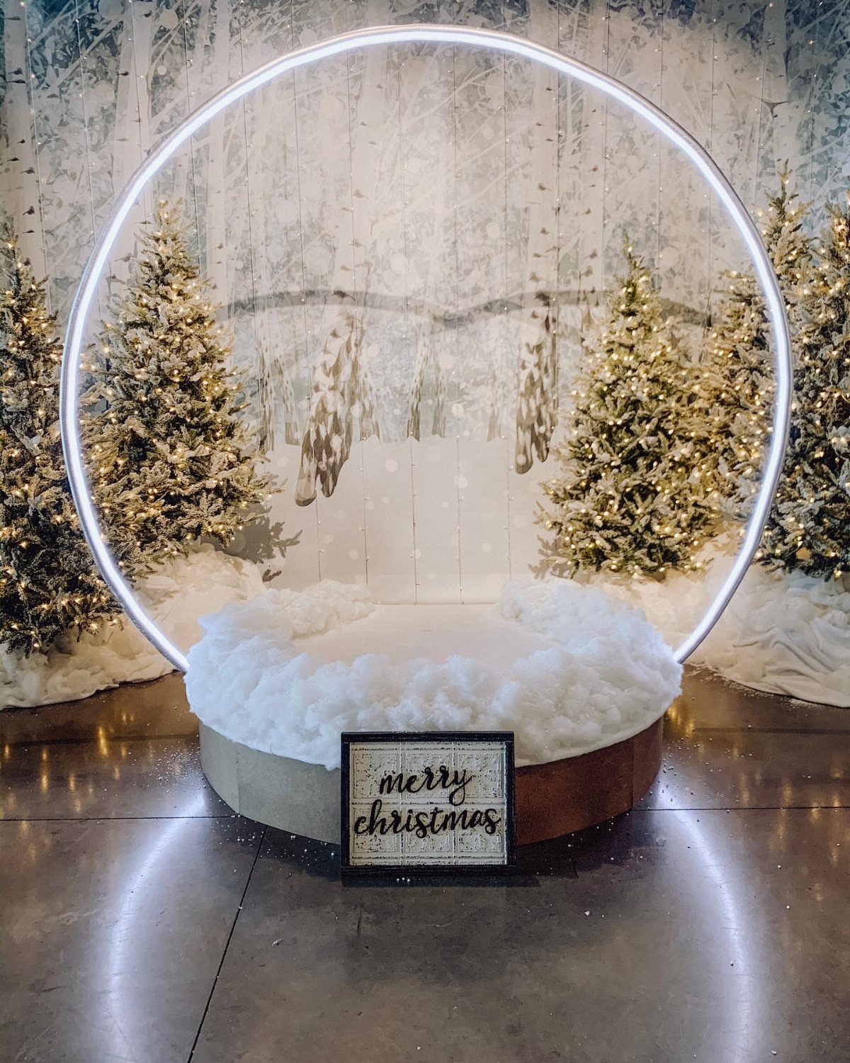 Circular glowing light frame with snowy birch backdrop and lit Christmas trees.