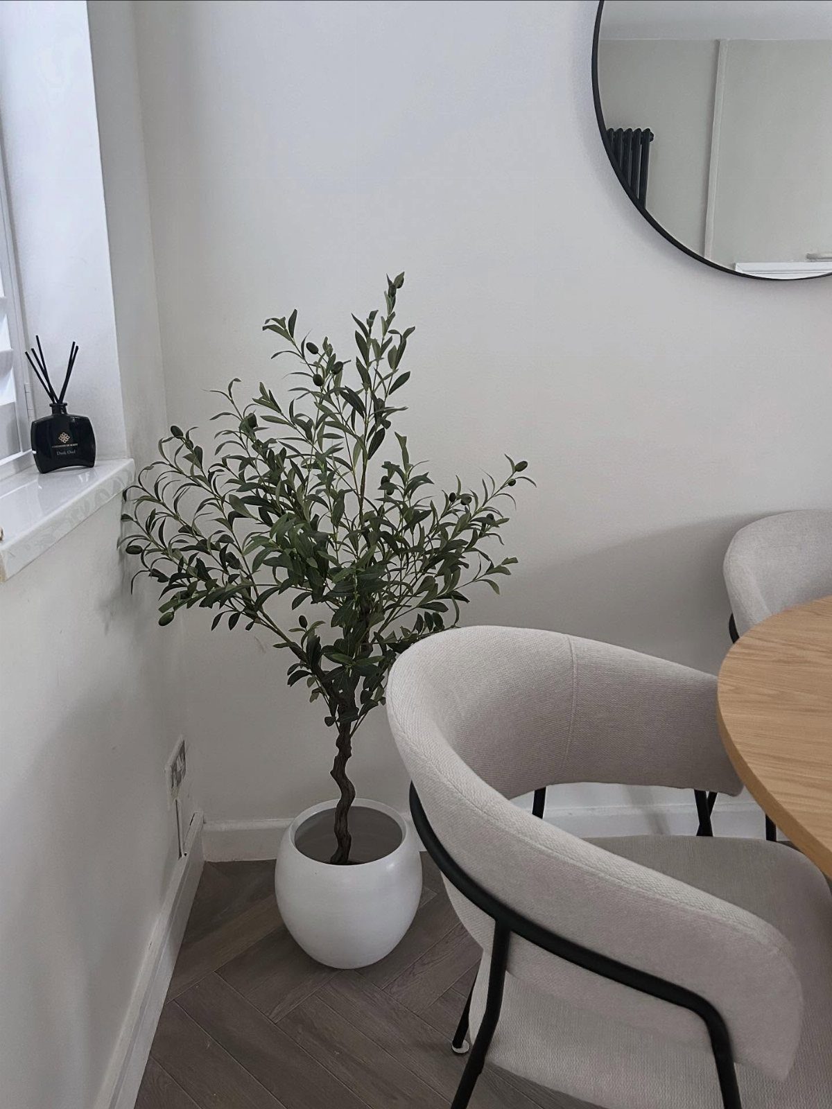 Potted green plant in a white pot placed in a bright room corner.