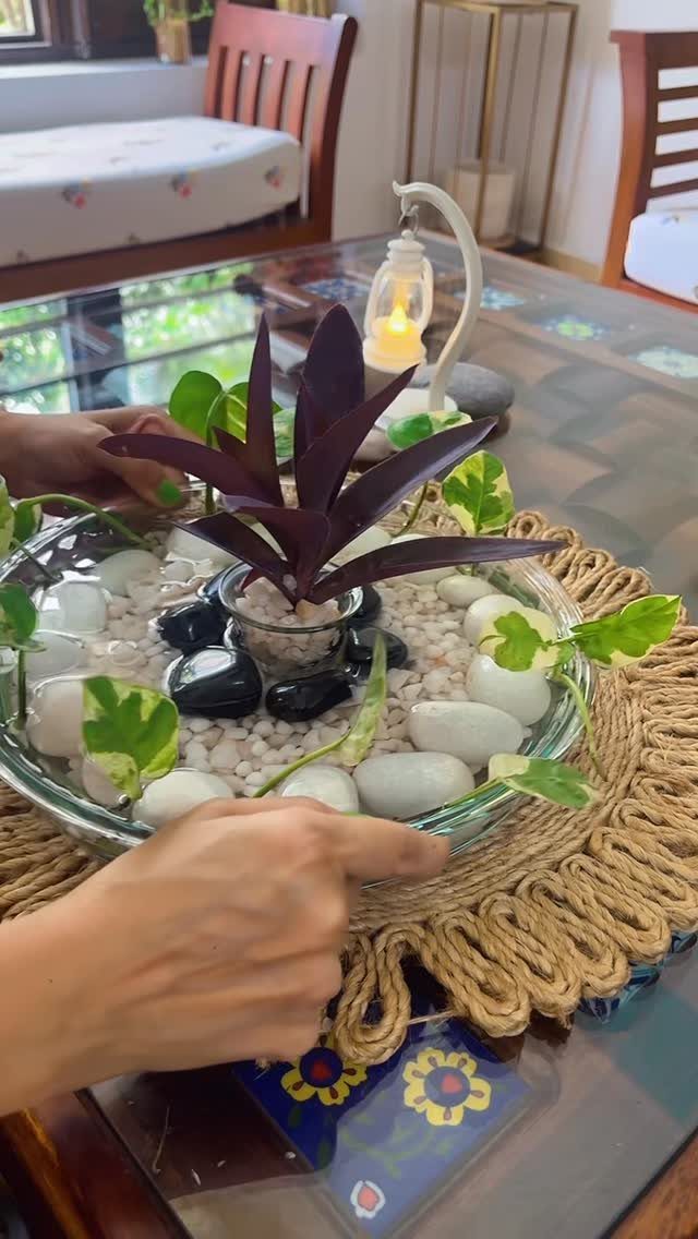 Glass bowl centerpiece with pebbles and plants on a modern dining table