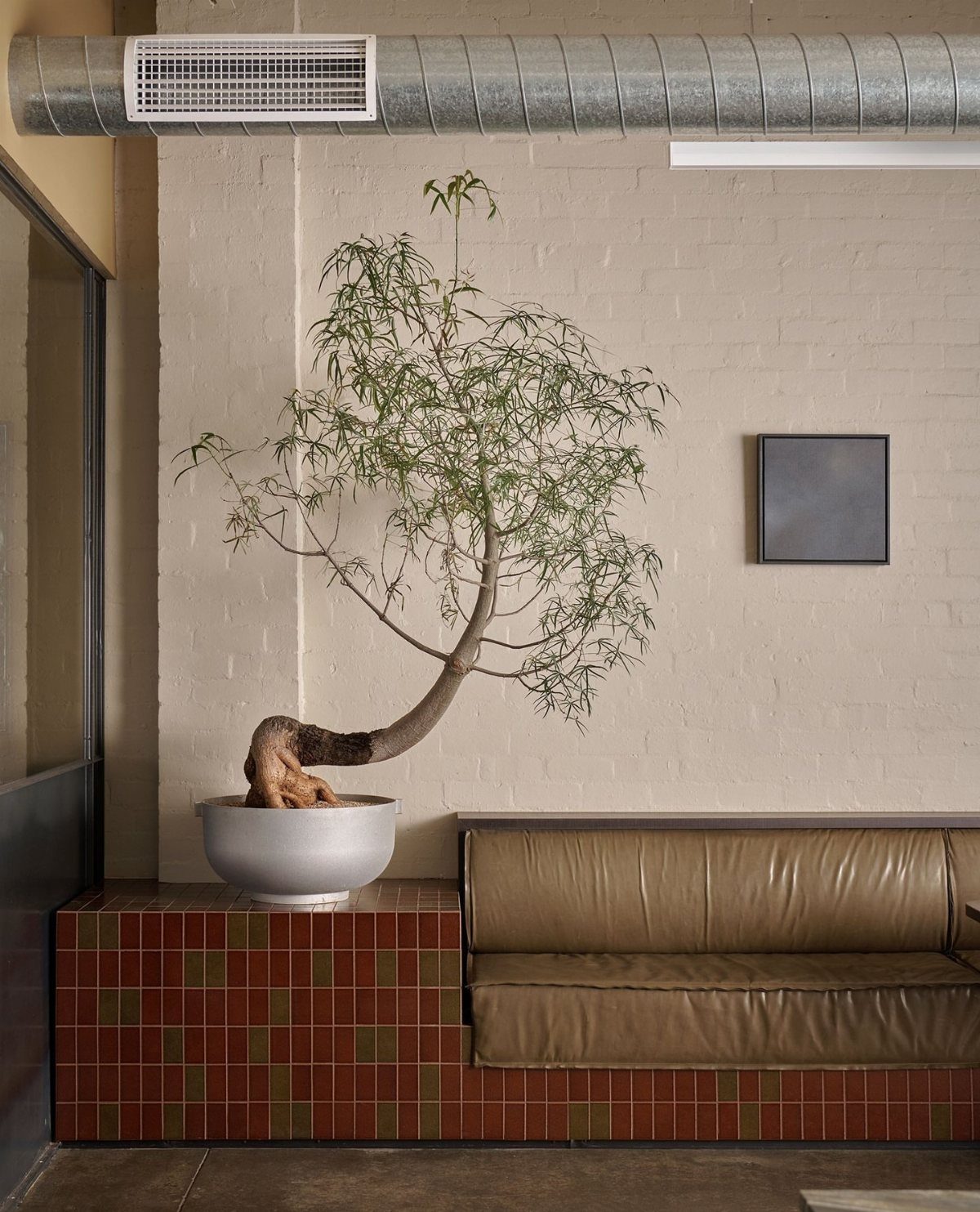 Built-in banquette with brown leather cushions and a bonsai tree on tiled ledge.