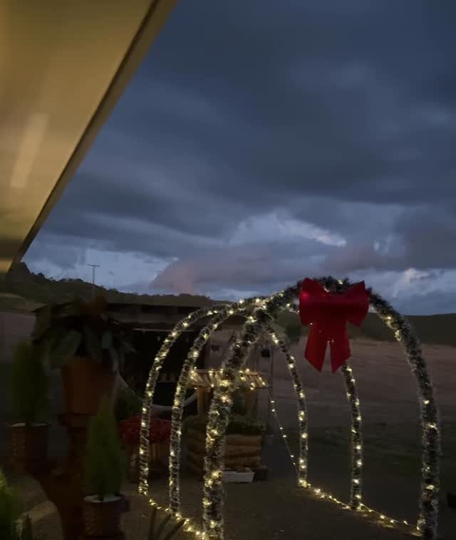 Arched outdoor railings decorated with twinkling white lights and a large red bow.